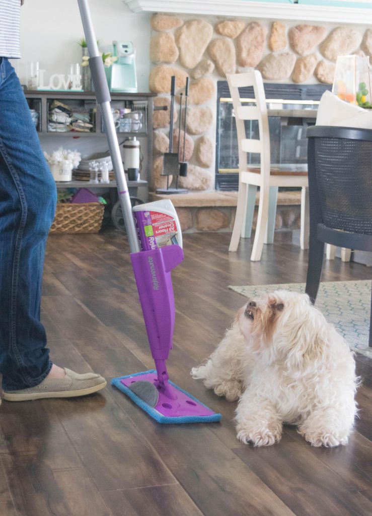 mapping the floor and a dog | Chattanooga Home Inspector | floor cleaning Chattanooga