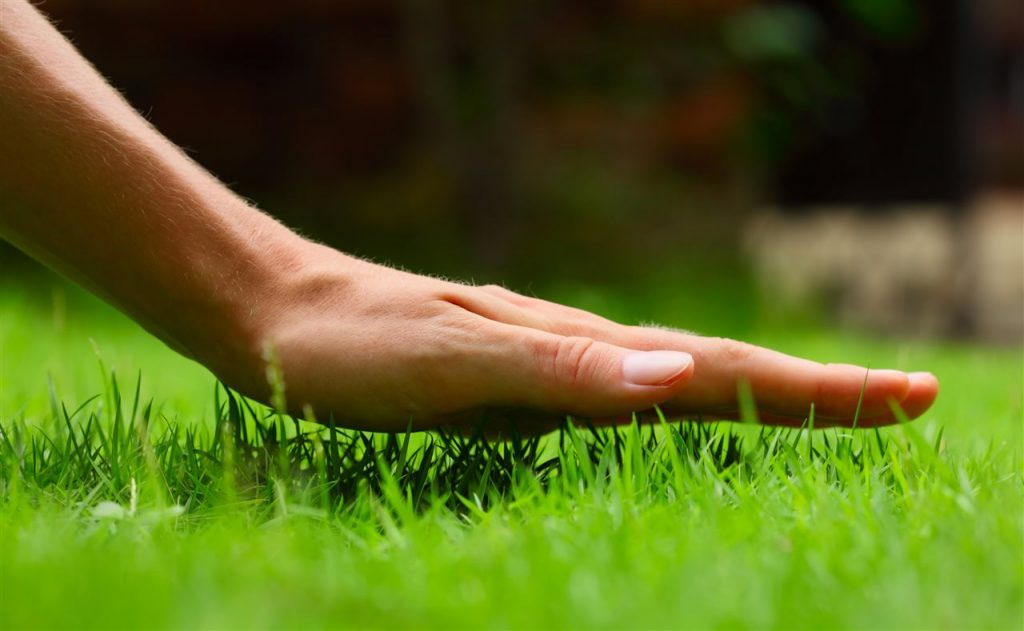 Touching Grass | Chattanooga Home Inspector | Lawncare Chattanooga