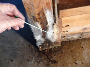chattanooga-home-inspector-does-mold-inspection