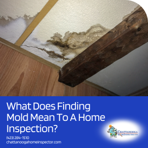 Mold Inspection