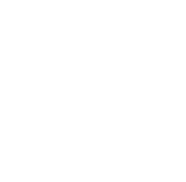 423 tint in Chattanooga