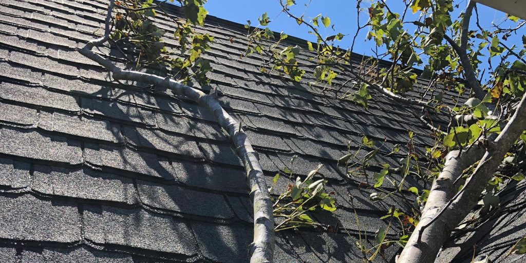 Image showing tree fallen on  a roof after a summer storm.