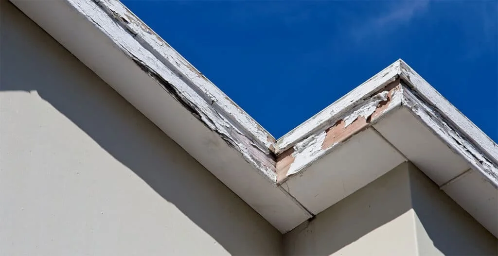 Picture shows damage to fascia board due to the lack of drip edge flashing.
