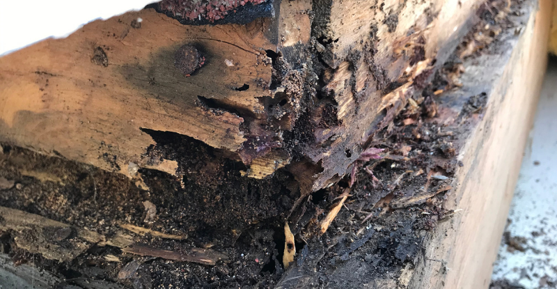 Image showing termite damage to a home's structural support